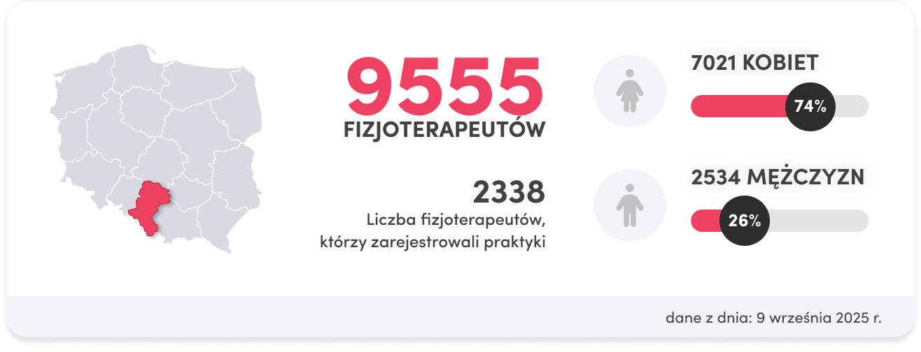 region slaski liczba fizjoterapeutów
