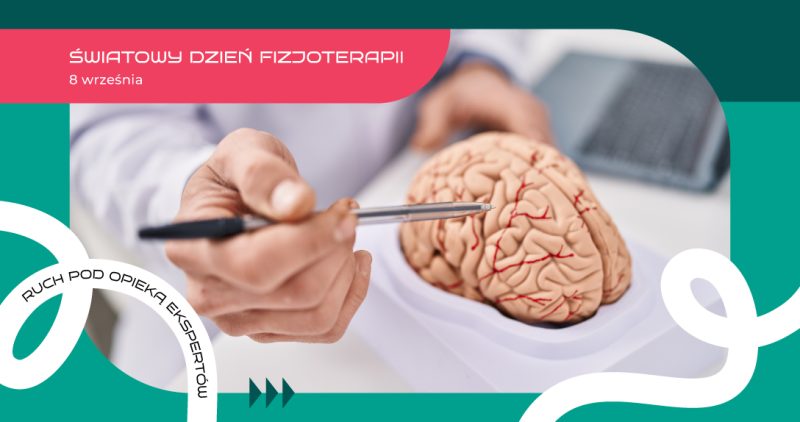 SDF2026-strona-news-region-śląski-mysłowice